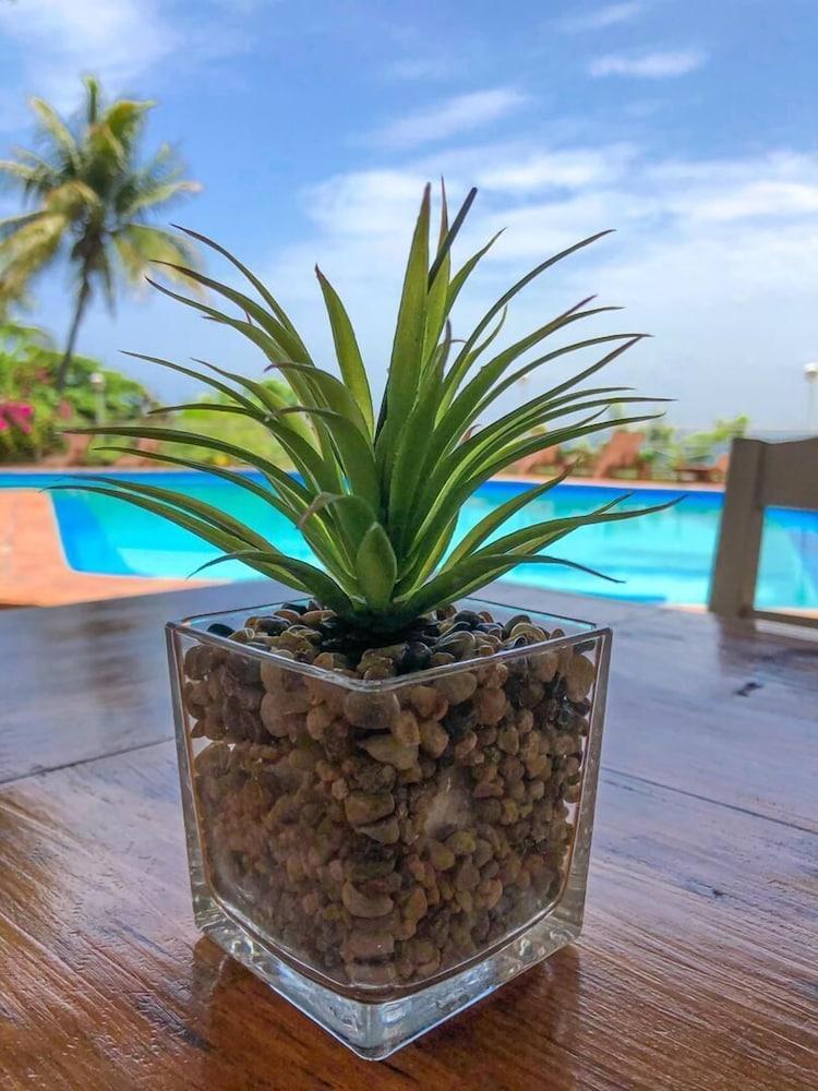 Hotel Mont Joli Cap-Haïtien Zewnętrze zdjęcie