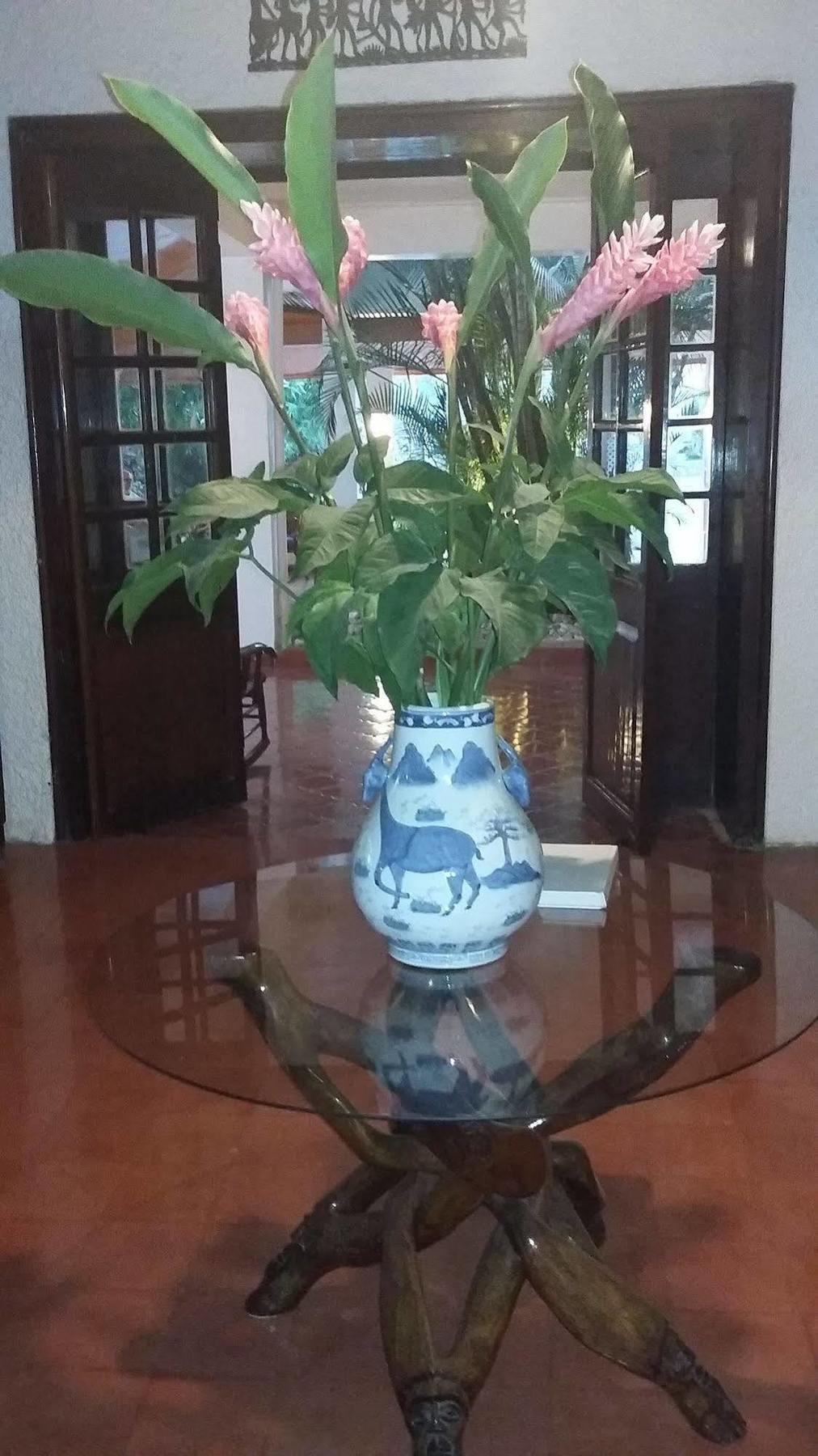 Hotel Mont Joli Cap-Haïtien Zewnętrze zdjęcie